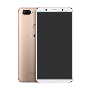 VIVO X20